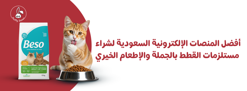 أفضل المنصات الإلكترونية السعودية لشراء مستلزمات القطط بالجملة والإطعا