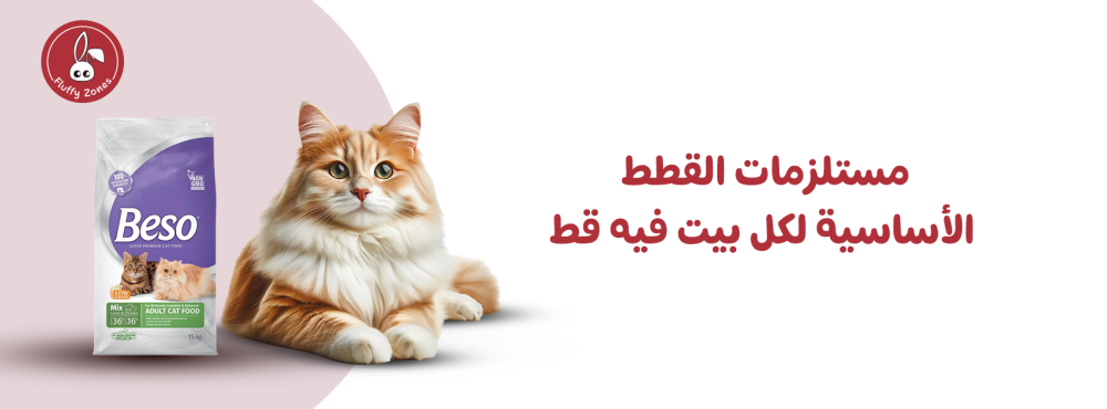 مستلزمات القطط الأساسية لكل بيت فيه قط