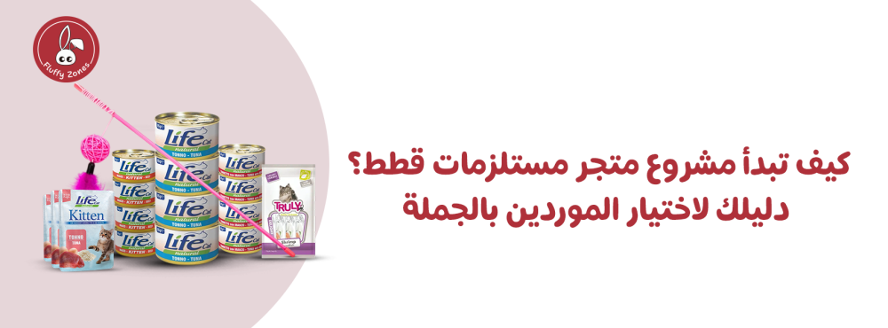 كيف تبدأ مشروع متجر مستلزمات قطط؟ دليلك لاختيار الموردين بالجملة