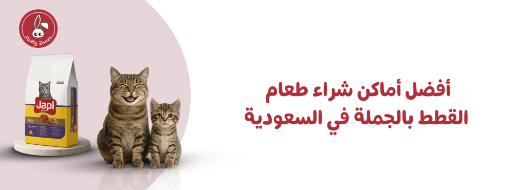 أفضل أماكن شراء طعام القطط بالجملة في السعودية