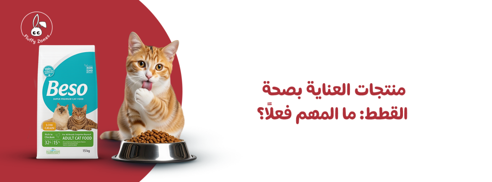 منتجات العناية بصحة القطط: ما المهم فعلًا؟