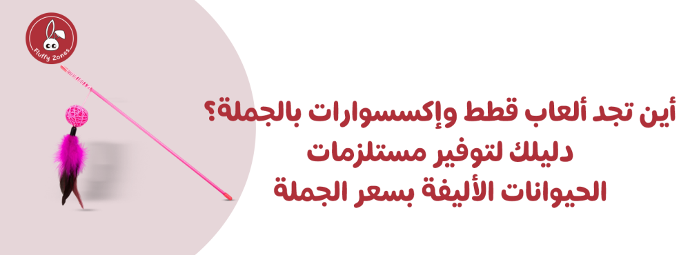 أين تجد ألعاب قطط وإكسسوارات بالجملة؟ دليلك لتوفير مستلزمات الحيوانات الأليفة بسعر الجملة