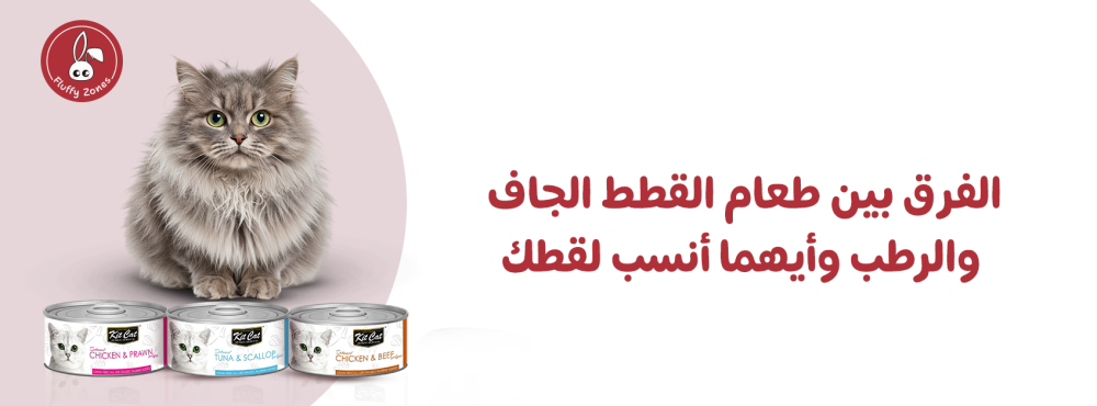 الفرق بين طعام القطط الجاف والرطب وأيهما أنسب لقطك
