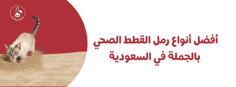 أفضل أنواع رمل القطط الصحي بالجملة