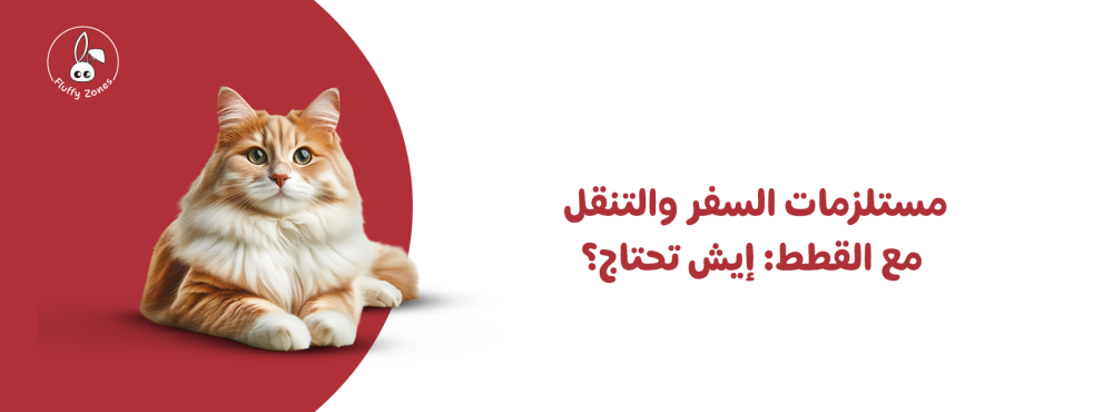 مستلزمات السفر والتنقل مع القطط: إيش تحتاج؟