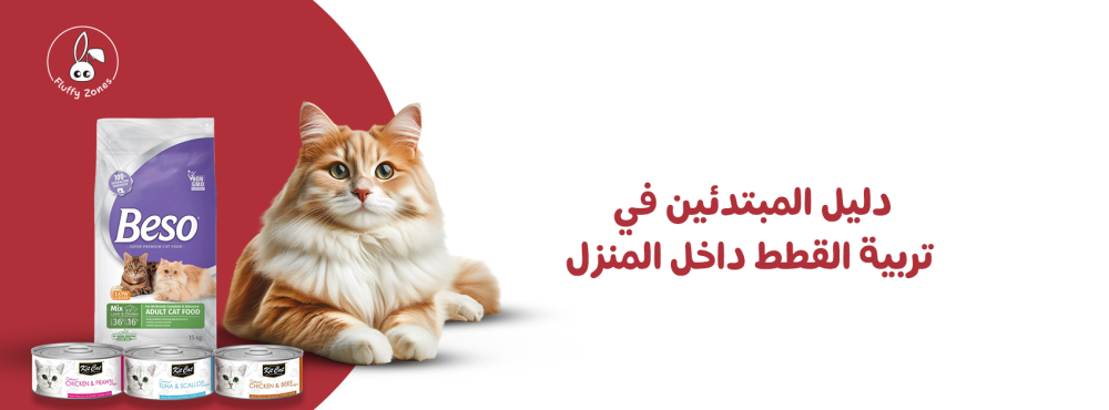 دليل المبتدئين في تربية القطط داخل المنزل