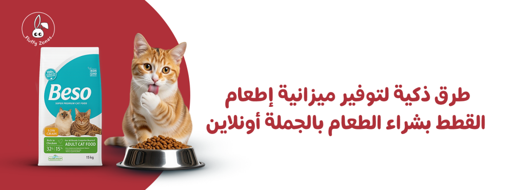 طرق ذكية لتوفير ميزانية إطعام القطط بشراء الطعام بالجملة أونلاين