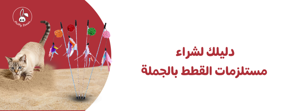 دليلك لشراء مستلزمات القطط بالجملة