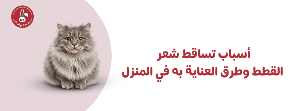 أسباب تساقط شعر القطط وطرق العناية به في المنزل