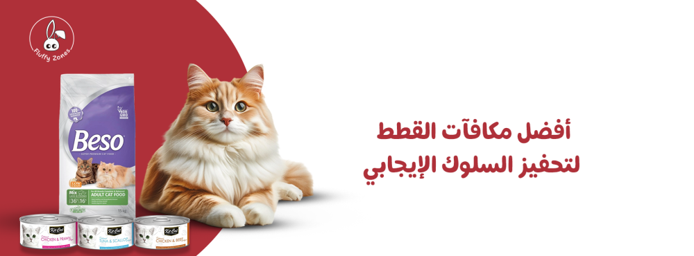 أفضل مكافآت القطط لتحفيز السلوك الإيجابي