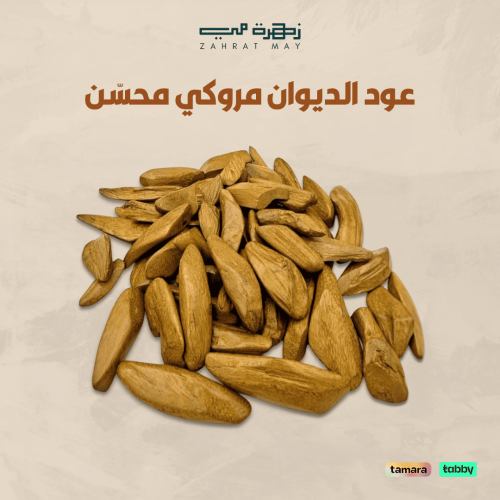عود الديوان مروكي محسّن
