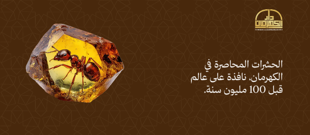 حشرات في الكهرمان