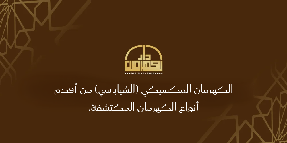 كهرمان مكسيكي
