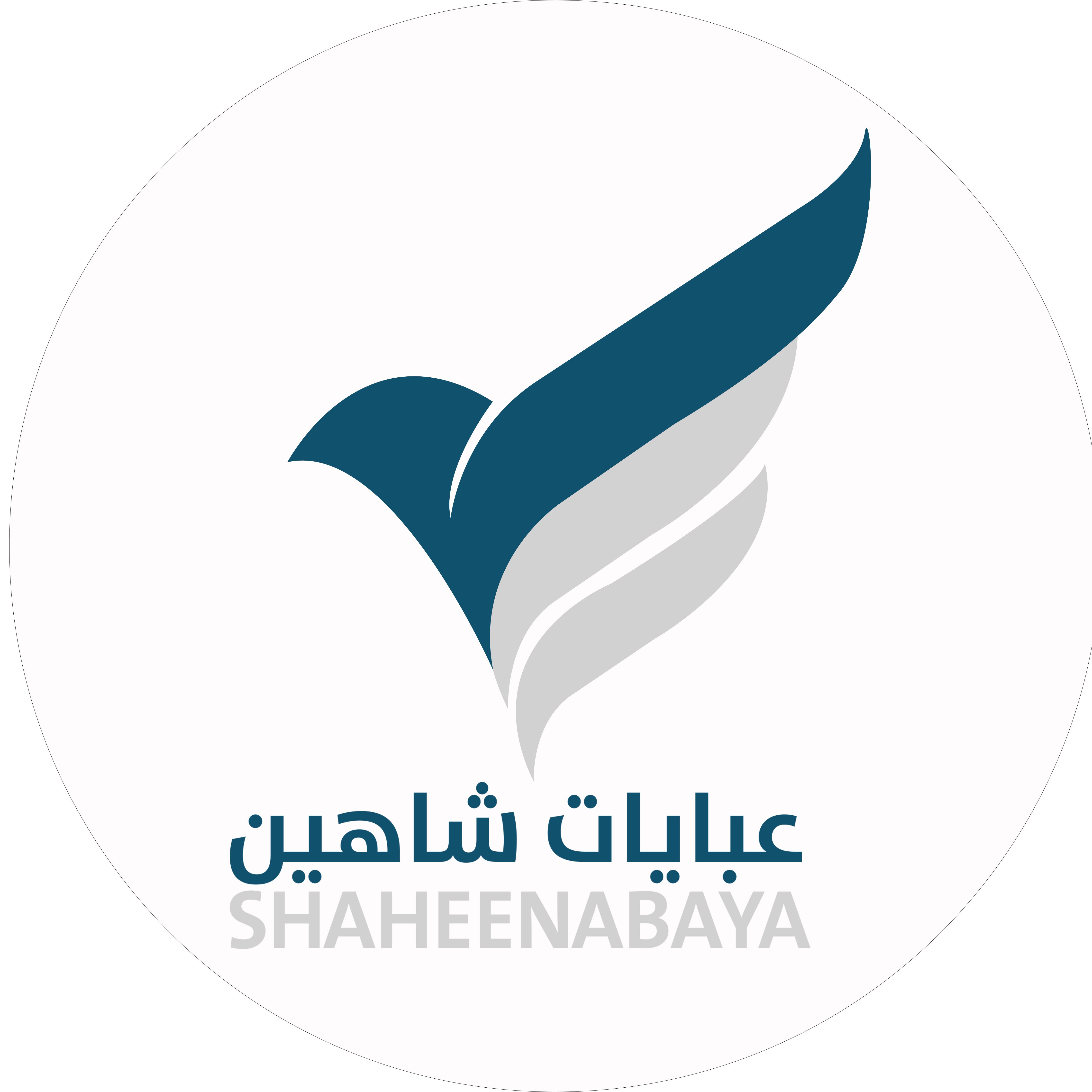 store avatar