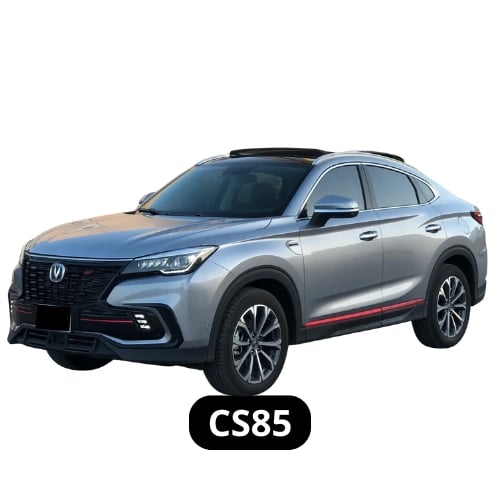 CS85