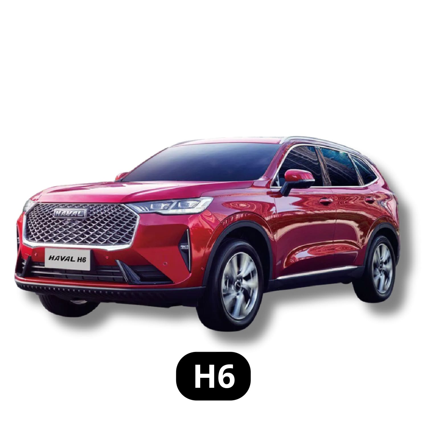 H6
