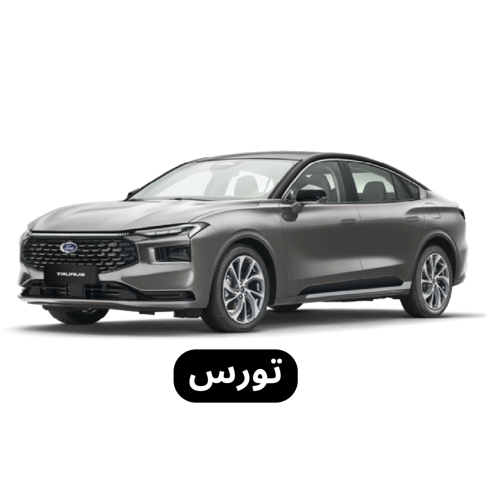 تورس