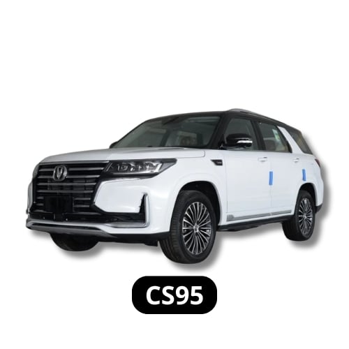 CS95