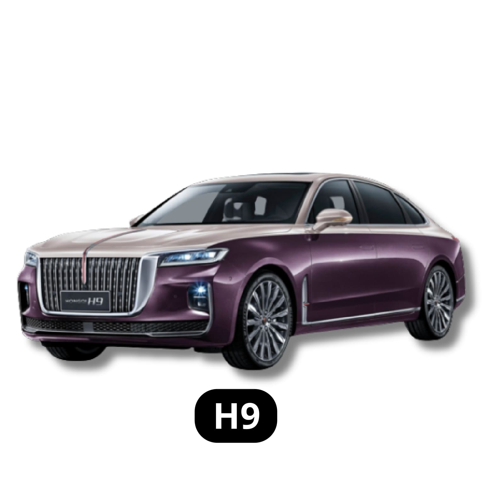 H9