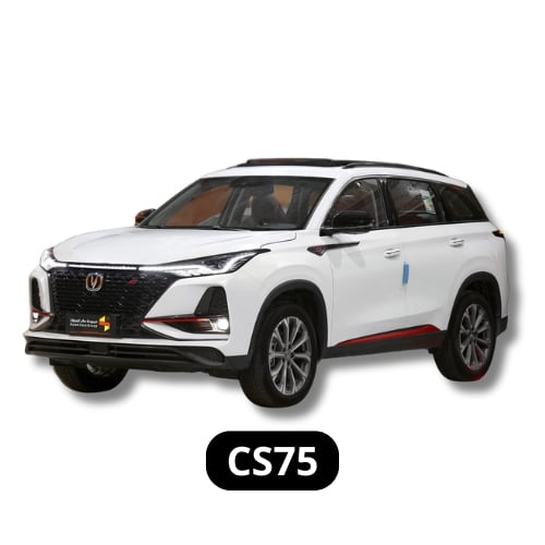 CS75