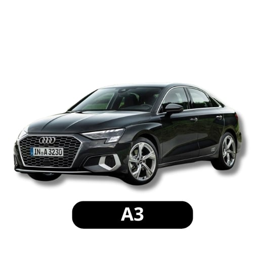 A3