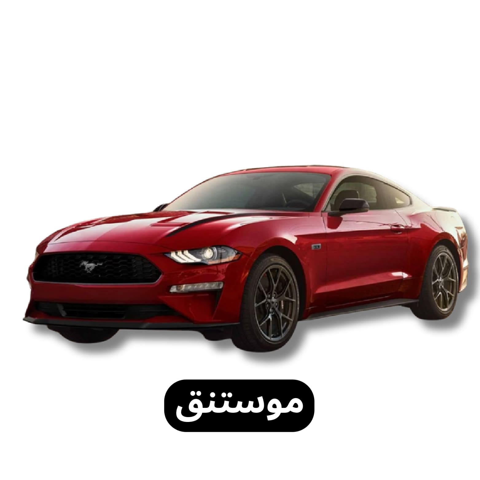موستنق