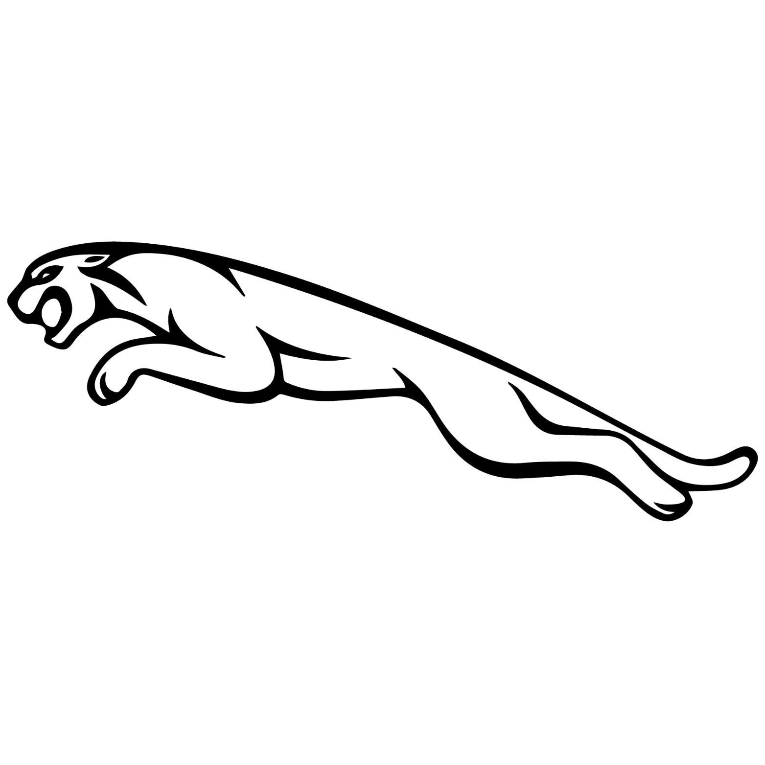 جاكوار