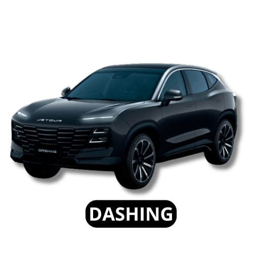 DASHING