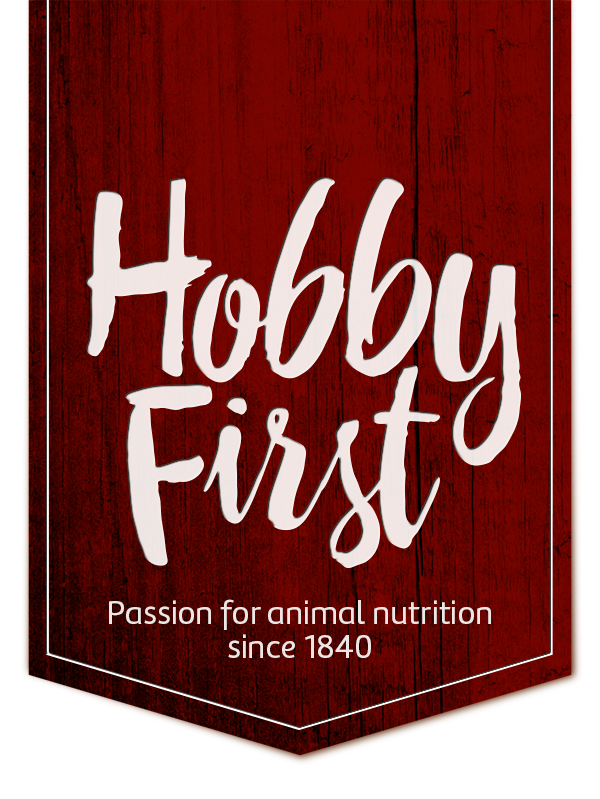 Hobby First