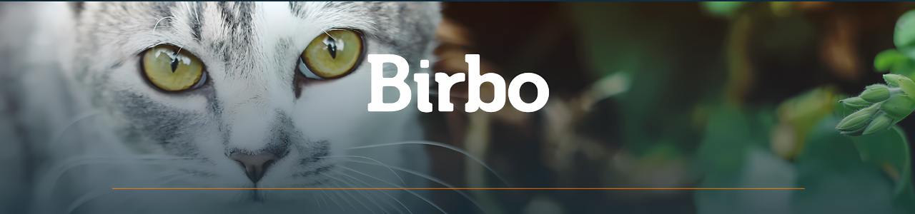 Birbo