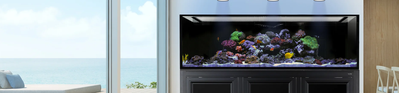 اينوفيتف مارين