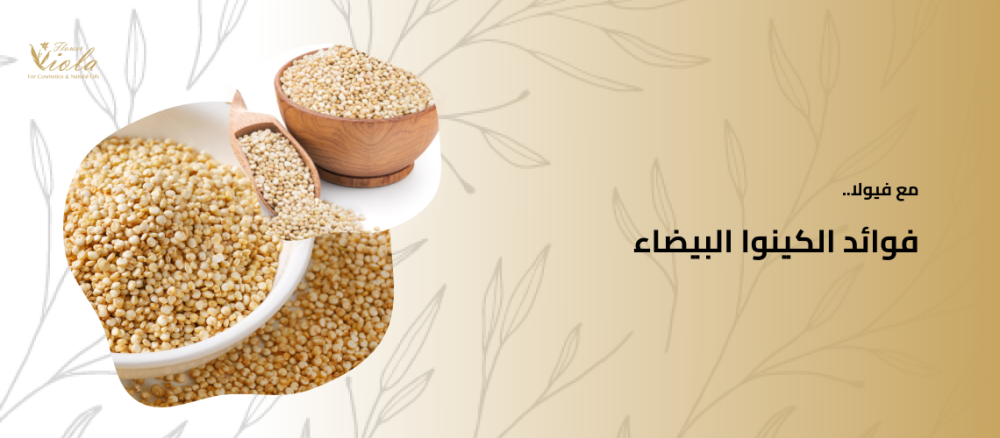 فوائد الكينوا البيضاء: الحبوب الخارقة للطبيعة فوائد الكينوا البيضاء: الحبوب الخارقة للطبيعة