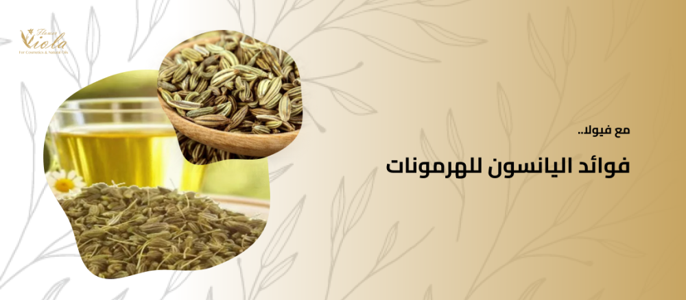 فوائد اليانسون للهرمونات سر فيولا