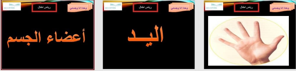 تحضير وحدة انا وجسمي رياض الأطفال