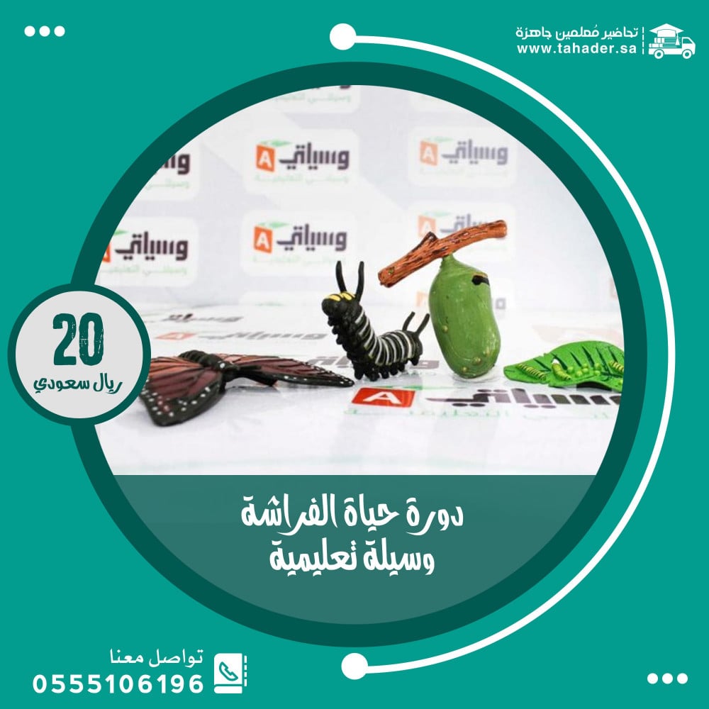 دورة حياة الفراشة