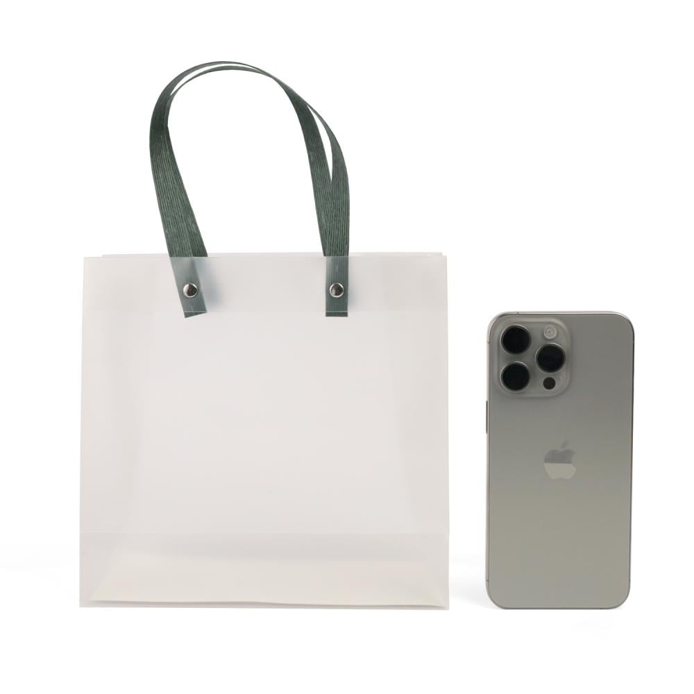 Set of (6) medium-sized transparent gift bags with a green handle