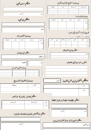 منظم بيسك الشامل بالطول (بيج)