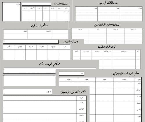 منظم بيسك الشامل بالعرض (رمادي غامق)