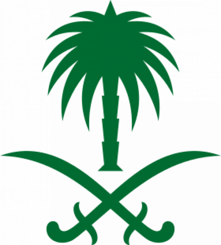 سيفين ونخلة