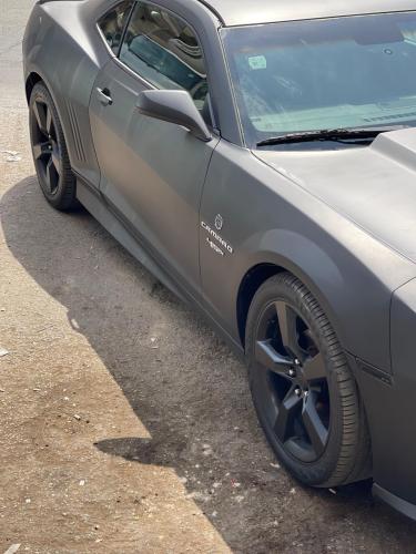 سمكات كمارو اصلي وكاله