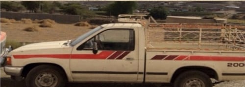 خط شطرطون داتسون 1986