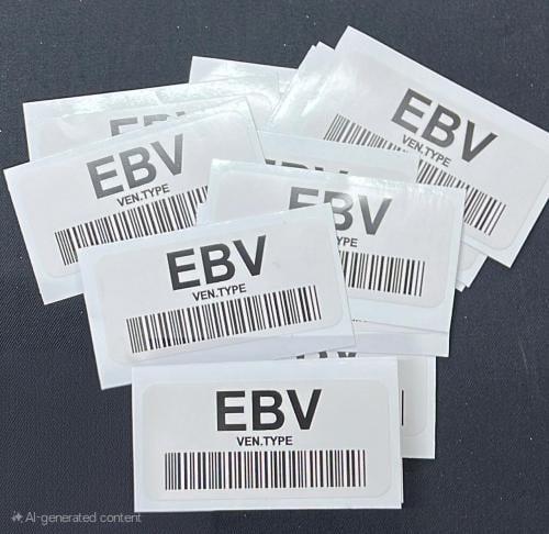 استكر EBV