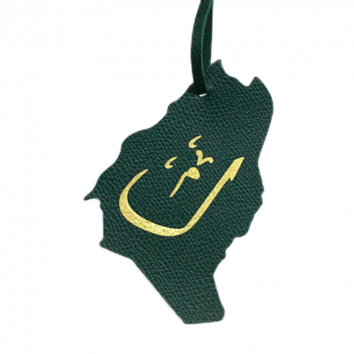 خريطة المملكة من الجلد بالاحرف العربية