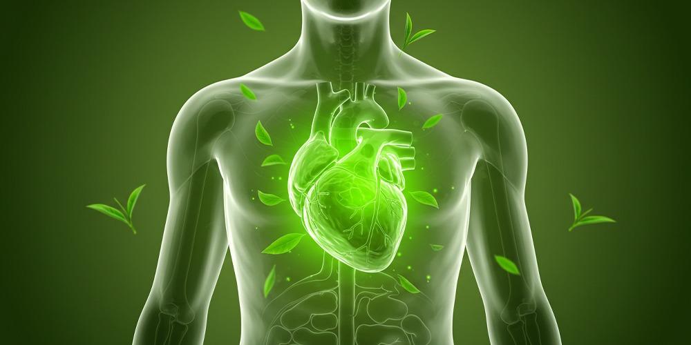 الشاي الاخضر والحموضة