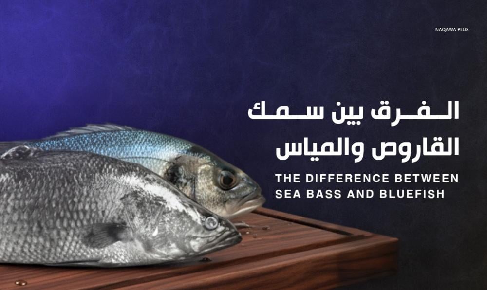 تعرف على الفرق بين سمك المياس والقاروص وأيهما أفضل؟