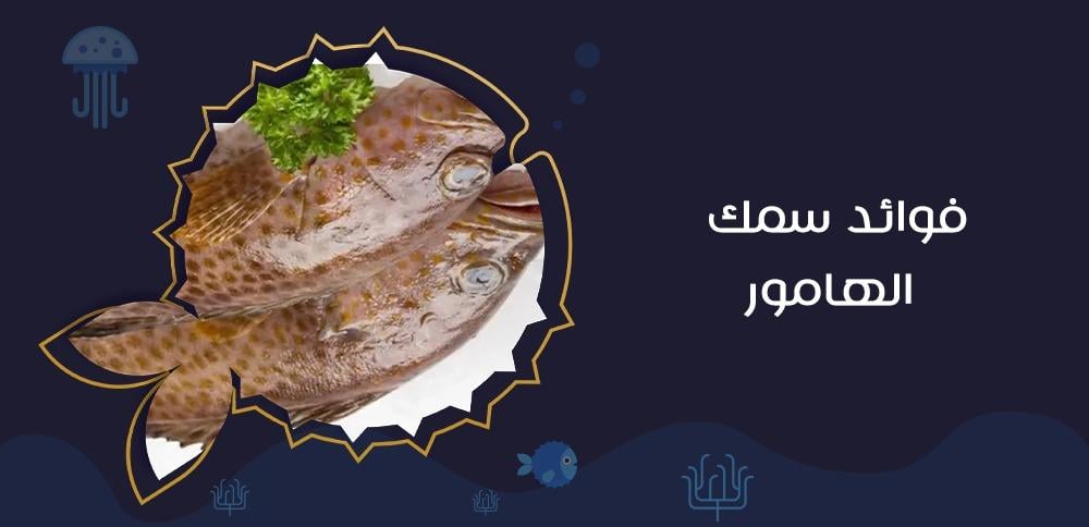 فوائد سمك الهامور