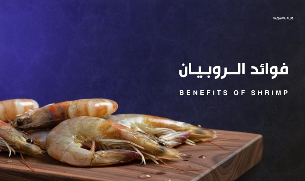 فوائد الروبيان الصحية كنز من البروتين والعناصر الغذائية