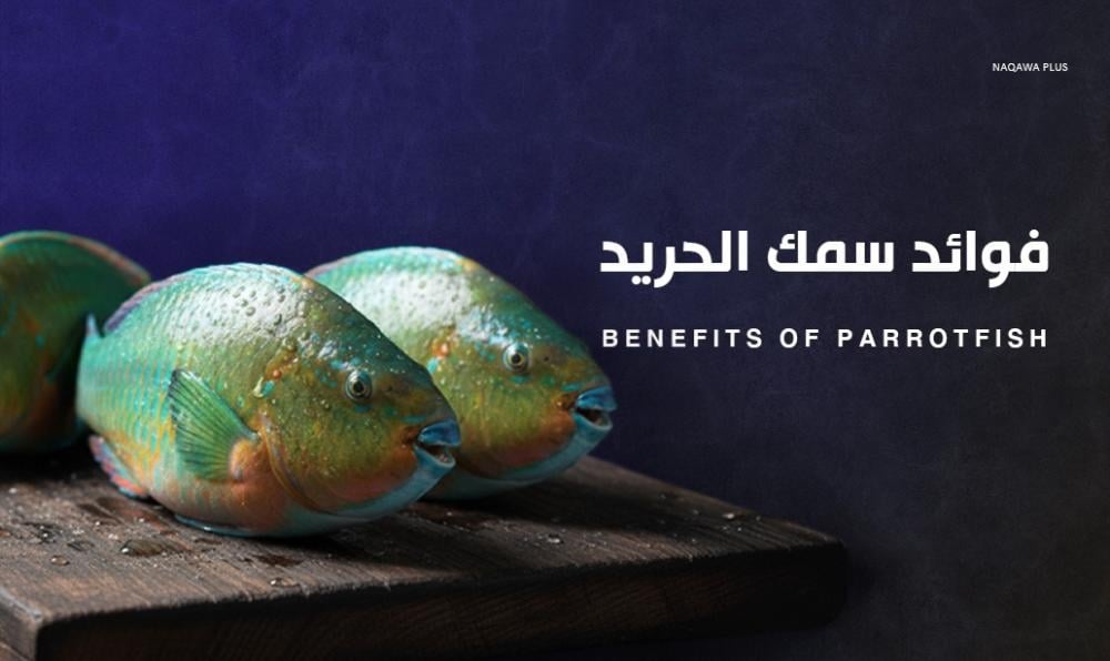 فوائد سمك حريد | سمك غني بالعناصر الغذائية والصحية