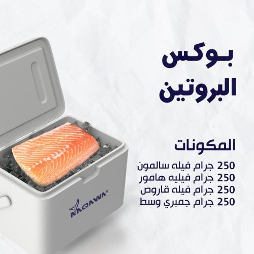 بوكس البروتين