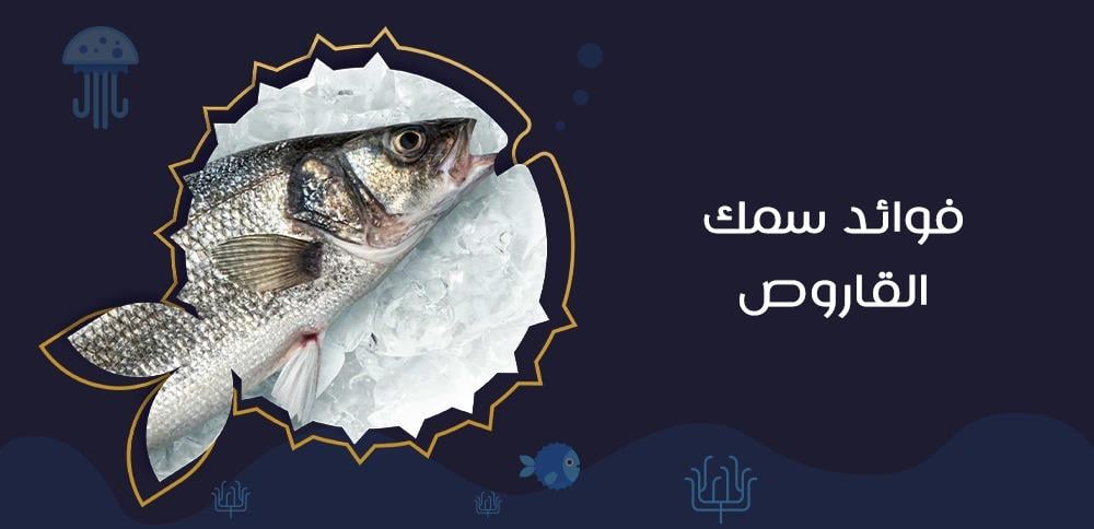 فوائد سمك القاروص